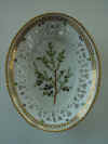 Juniperus Communis L. T2739.jpg (187311 byte)